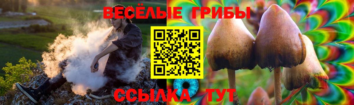 Киржач  Галлюциногенные грибы Cubensis  магазин продажи   Вход с VPN 